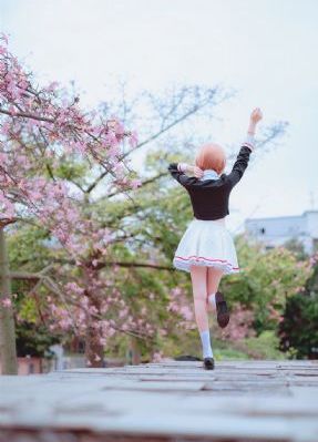 明星大侦探第六季免费观看完整版